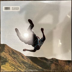 Vinilo plokštė Tyler The Creator - Wolf цена и информация | Виниловые пластинки, CD, DVD | pigu.lt