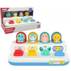 Развивающая игрушка WOOPIE Pop-up цена и информация | Игрушки для малышей | pigu.lt
