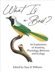 What Is a Bird?: An Exploration of Anatomy, Physiology, Behavior, and Ecology kaina ir informacija | Ekonomikos knygos | pigu.lt