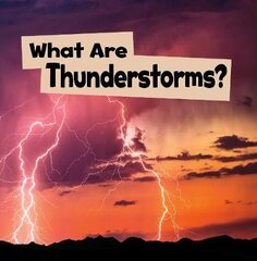 What Are Thunderstorms? цена и информация | Книги для малышей | pigu.lt