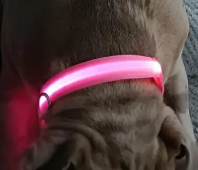 LED apykaklė šunims, rožinė цена и информация | Antkakliai, petnešos šunims | pigu.lt