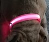 LED apykaklė šunims, rožinė цена и информация | Antkakliai, petnešos šunims | pigu.lt