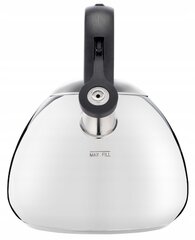 Tefal plieninis virdulys, 2,7 l kaina ir informacija | Kavinukai, virduliai | pigu.lt