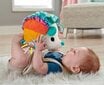 Pliušinis ežiukas Fisher-Price kaina ir informacija | Žaislai kūdikiams | pigu.lt