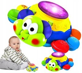 Interaktyvus LED žaislas Vėžlys kaina ir informacija | Žaislai kūdikiams | pigu.lt