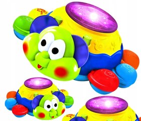 Interaktyvus LED žaislas Vėžlys цена и информация | Игрушки для малышей | pigu.lt