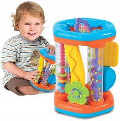 Interaktyvus žaislas Dumel Discovery 42307 kaina ir informacija | Žaislai kūdikiams | pigu.lt