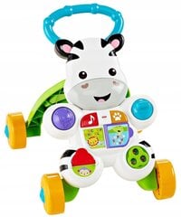 Interaktyvi vaikštynė Fisher Price Zebra DPL53 kaina ir informacija | Vaikštynės | pigu.lt