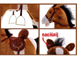 Лошадка-качалка RSKY, коричневая цена и информация | Игрушки для малышей | pigu.lt
