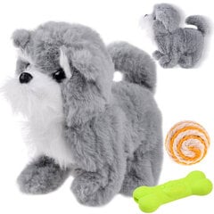 Interaktyvus šuo, 16 cm, pilkas kaina ir informacija | Minkšti (pliušiniai) žaislai | pigu.lt