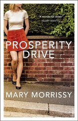 Prosperity Drive kaina ir informacija | Fantastinės, mistinės knygos | pigu.lt