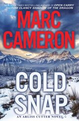 Cold Snap: An Action Packed Novel of Suspense цена и информация | Fantastinės, mistinės knygos | pigu.lt