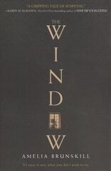 WINDOW для чистки стекол 750 мл./ 2 шт. цена и информация | Книги для подростков и молодежи | pigu.lt