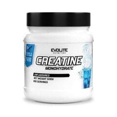 Kreatinas EvoLite Creatine Monohydrate, 500g цена и информация | Креатин | pigu.lt