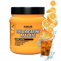 Kreatinas EvoLite Tri Creatine Malate Orange, 300g kaina ir informacija | Kreatinas | pigu.lt