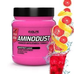 Aminorūgštys EvoLite Aminodust Grapefruit, 474g цена и информация | Аминокислоты | pigu.lt