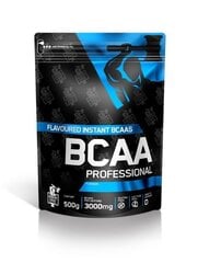 Aminorūgštys German Forge BCAA Professional Apelsinų skonio, 500g kaina ir informacija | Aminorūgštys | pigu.lt