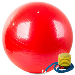 Gimnastikos kamuolys su pompa, 65cm, raudonas kaina ir informacija | Gimnastikos kamuoliai | pigu.lt