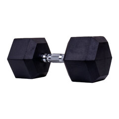 Hantelis Core Dumbbell Hex, 25kg цена и информация | Гантели, гири, штанги | pigu.lt