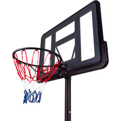 Krepšinio stovas Prosport, 110 x 75 x 5 cm kaina ir informacija | Krepšinio stovai | pigu.lt