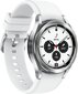 Samsung Galaxy Watch 4 Classic (BT,46mm) Silver kaina ir informacija | Išmanieji laikrodžiai (smartwatch) | pigu.lt