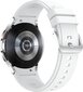 Samsung Galaxy Watch 4 Classic (BT,46mm) Silver цена и информация | Išmanieji laikrodžiai (smartwatch) | pigu.lt