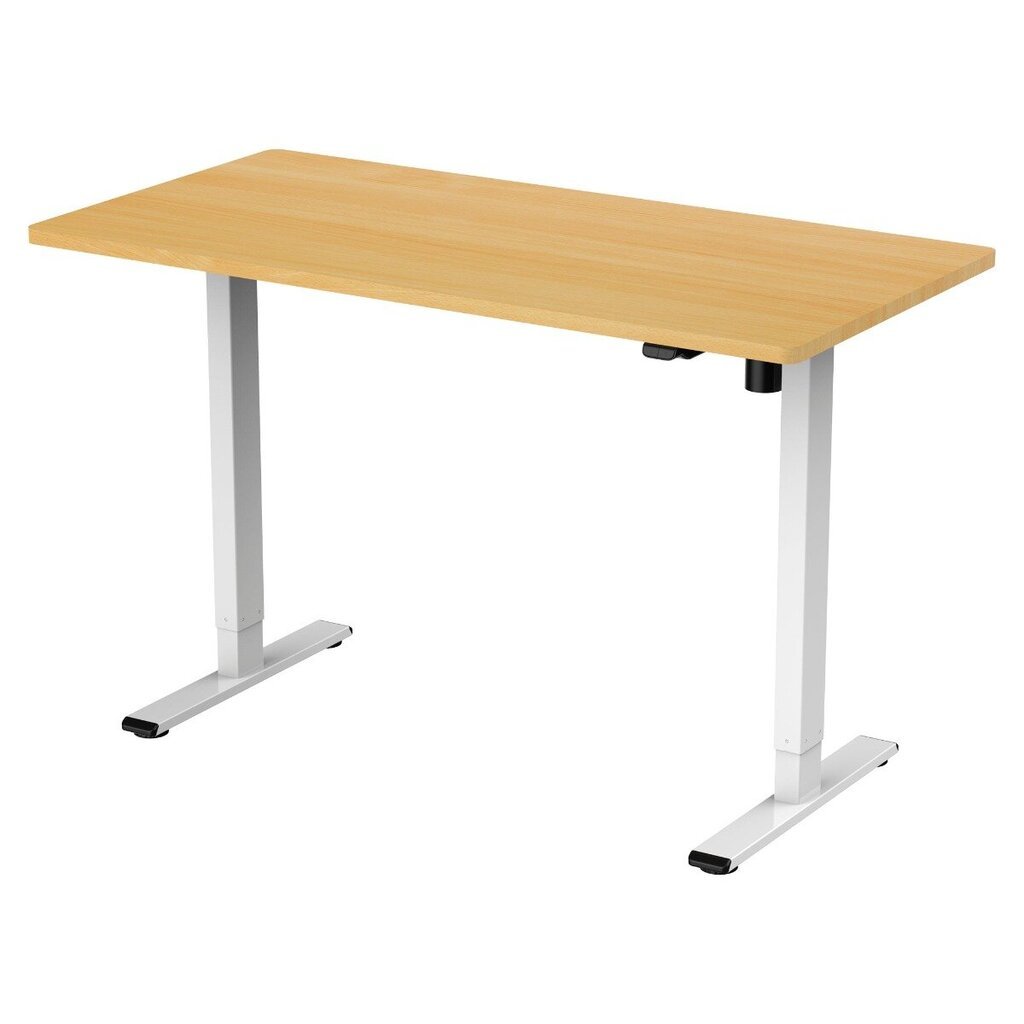 Elektrinis reguliuojamo aukščio stalas Lykke M100, 60x120 cm, rudas/baltas цена и информация | Kompiuteriniai, rašomieji stalai | pigu.lt
