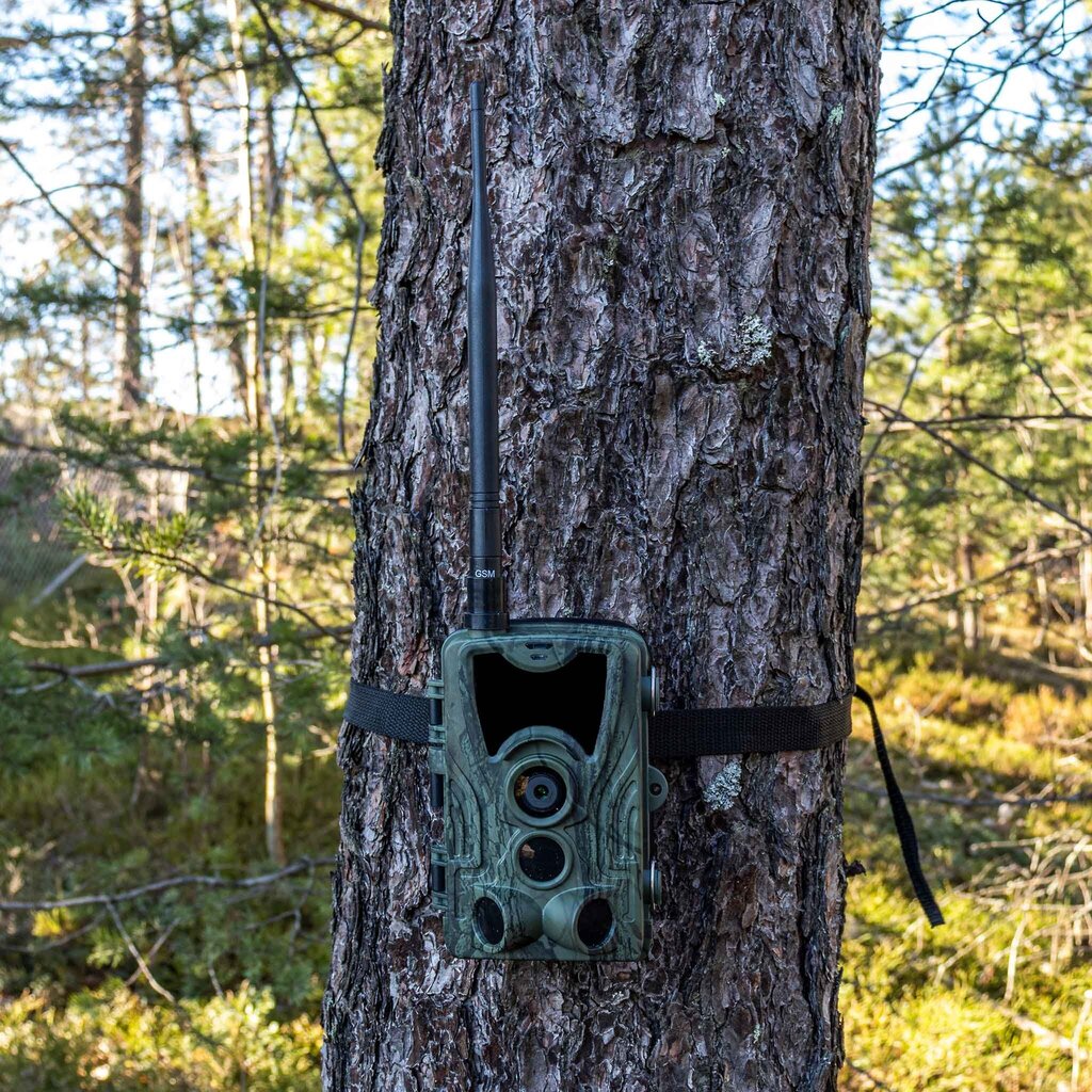 Medžioklės kamera Trekker Trail 4g Lte kaina ir informacija | Medžioklės reikmenys | pigu.lt