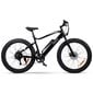 Elektrinis dviratis Swoop Striker 26, juodas kaina ir informacija | Elektriniai dviračiai | pigu.lt