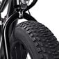 Elektrinis dviratis Swoop Striker 26, juodas цена и информация | Elektriniai dviračiai | pigu.lt
