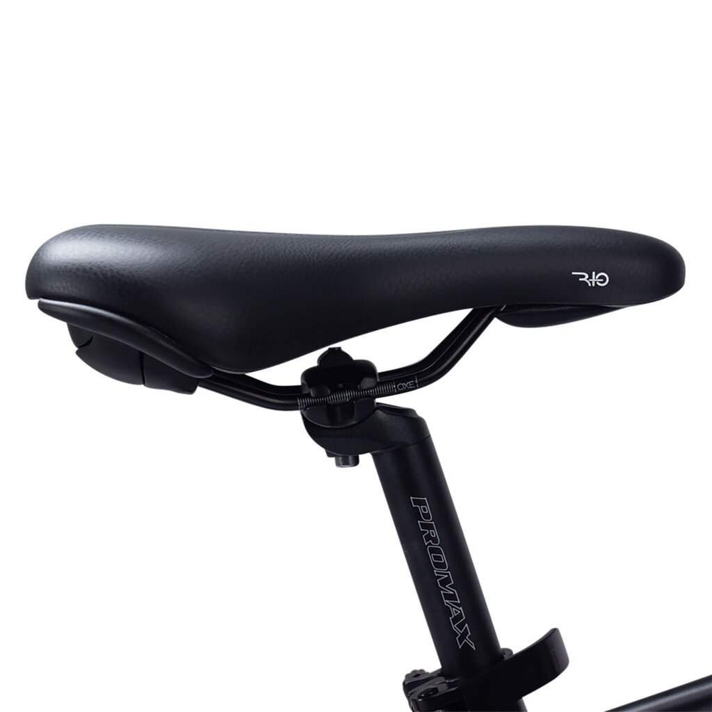 Elektrinis dviratis Swoop MTB 26, juodas kaina ir informacija | Elektriniai dviračiai | pigu.lt