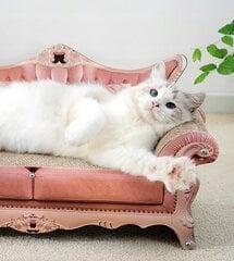 Kačių draskyklė Zaxer Sofa, 59x31x26 cm kaina ir informacija | Draskyklės | pigu.lt
