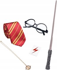 Набор аксессуаров Zaxer Harry Potter 5 шт. цена и информация | Игрушки для мальчиков | pigu.lt