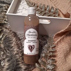 Argano aliejaus šampūnas Rhassoul Beaute Marrakech, 250 ml kaina ir informacija | Šampūnai | pigu.lt