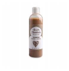Argano aliejaus šampūnas Rhassoul Beaute Marrakech, 250 ml цена и информация | Шампуни | pigu.lt