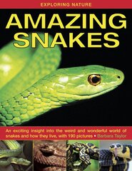 Exploring Nature: Amazing Snakes: an Exciting Insight into the Weird and Wonderful World of Snakes and How They Live, with 190 Pictures kaina ir informacija | Knygos paaugliams ir jaunimui | pigu.lt