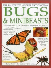 Illustrated Wildlife Encyclopedia: Bugs & Minibeasts цена и информация | Книги для подростков  | pigu.lt