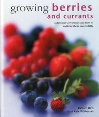 Growing Berries and Currants: A Directory of Varieties and How to Cultivate Them Successfully kaina ir informacija | Knygos apie sodininkystę | pigu.lt