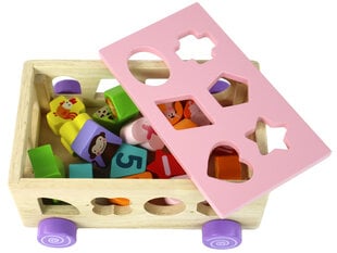 Деревянный развиваДеревянный развивающий сортер ющий сортер цена и информация | Развивающие игрушки | pigu.lt