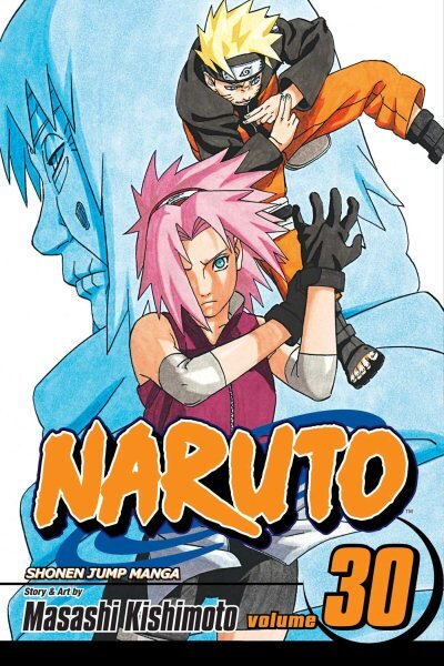 Naruto, Vol. 30 цена и информация | Fantastinės, mistinės knygos | pigu.lt