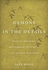 Demons in the Details: Demonic Discourse and Rabbinic Culture in Late Antique Babylonia цена и информация | Исторические книги | pigu.lt