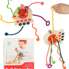 Montessori sensorinis žaislas kramtukas, raudonas цена и информация | Игрушки для малышей | pigu.lt