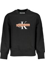 свитер calvin klein j30j324113 J30J324113_NEBEH_2XL цена и информация | Мужские толстовки | pigu.lt