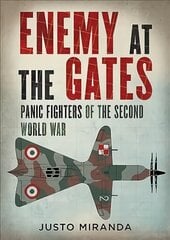 Enemy at the Gates: Panic Fighters of the Second World War цена и информация | Книги по социальным наукам | pigu.lt