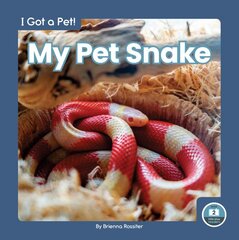 I Got a Pet! My Pet Snake kaina ir informacija | Knygos paaugliams ir jaunimui | pigu.lt