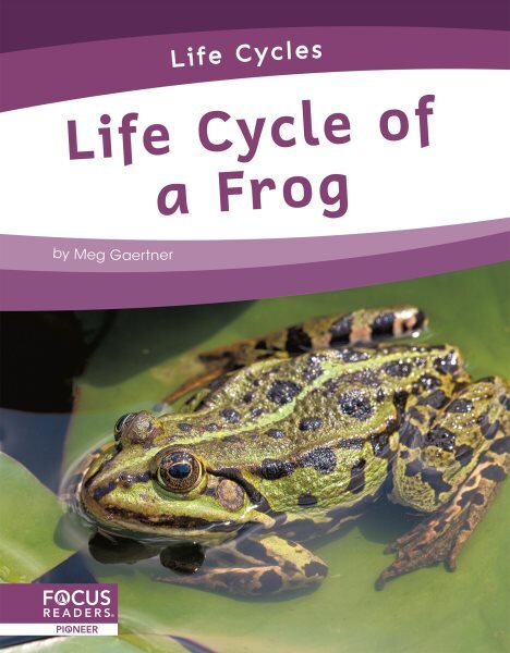Life Cycles: Life Cycle of a Frog цена и информация | Knygos paaugliams ir jaunimui | pigu.lt