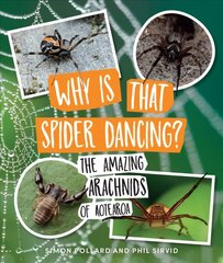 Why Is That Spider Dancing?: The Amazing Arachnids of Aotearoa kaina ir informacija | Knygos paaugliams ir jaunimui | pigu.lt
