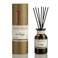 Namų kvapas su lazdelėmis Gloria Perfume Champagne, 150 ml kaina ir informacija | Namų kvapai | pigu.lt