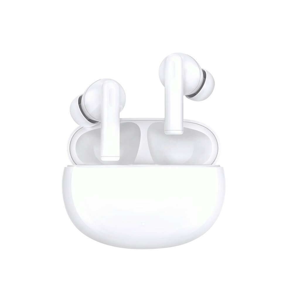 Honor Choice Earbuds X5 White 5504AAGN kaina ir informacija | Ausinės | pigu.lt