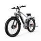 Elektrinis dviratis Duotts F26, pilkas цена и информация | Elektriniai dviračiai | pigu.lt